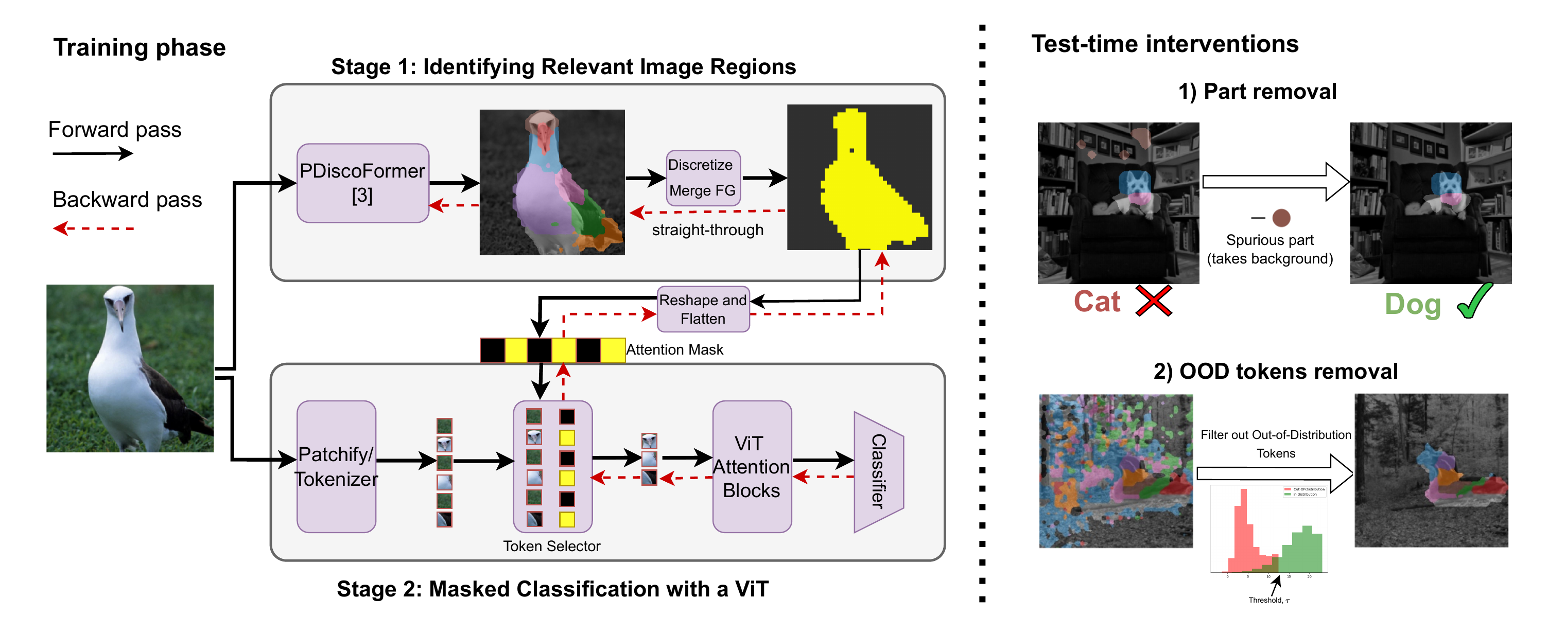 iFAM Architecture and Test-Time Interventions