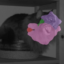 Cat Pure
