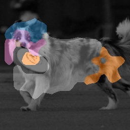 Dog Pure