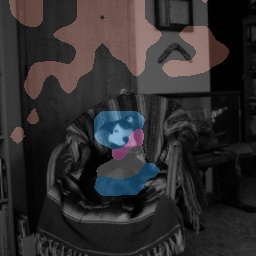 Dog Spurious