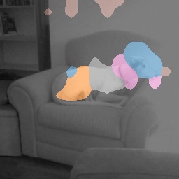 Dog Spurious