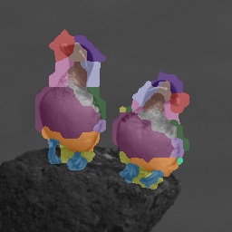 K=16