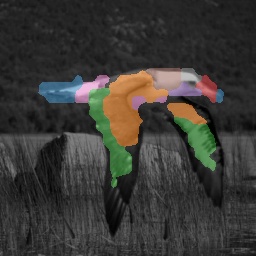 K=8