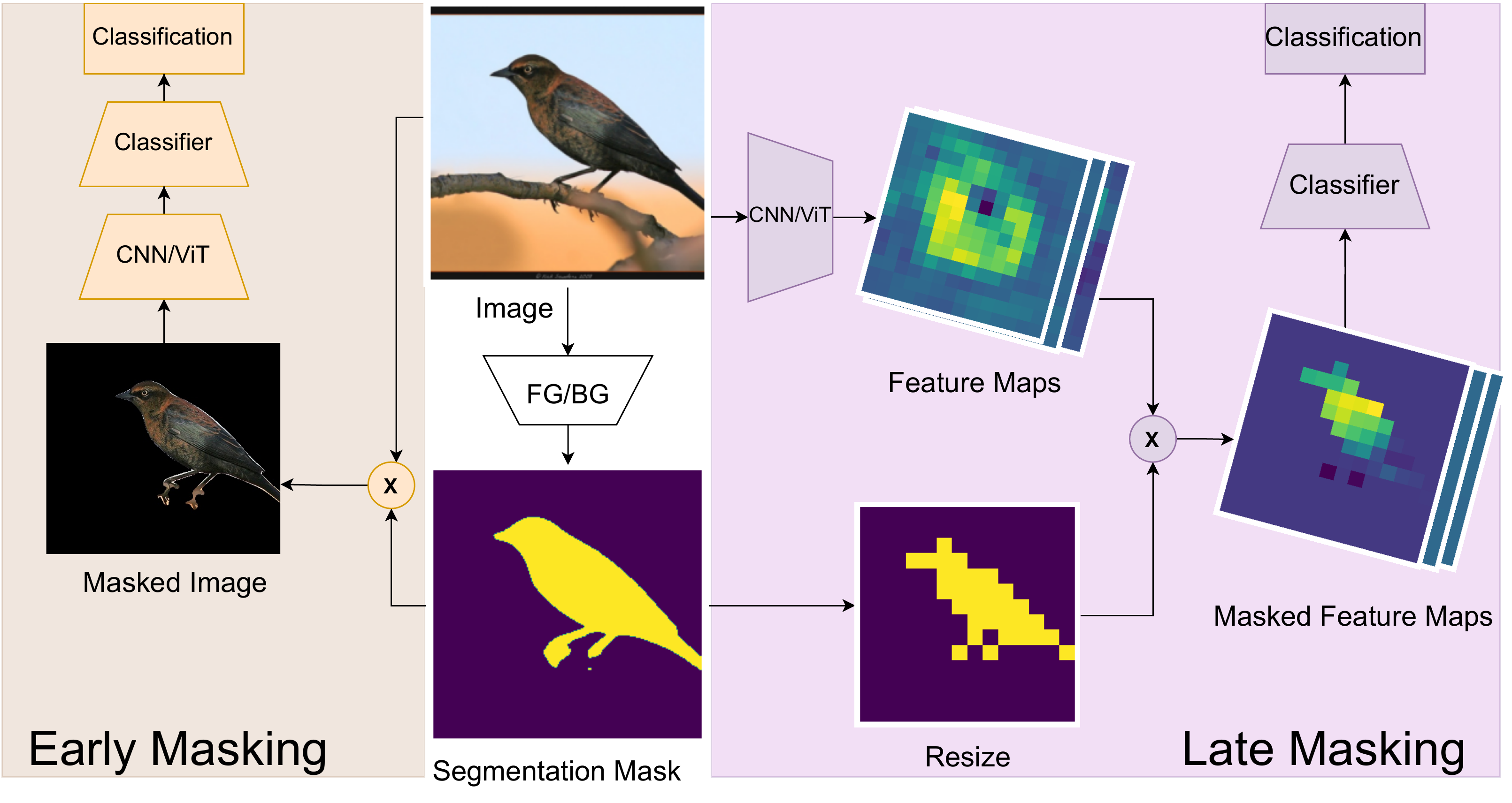 Early and late masking strategies for background bias removal