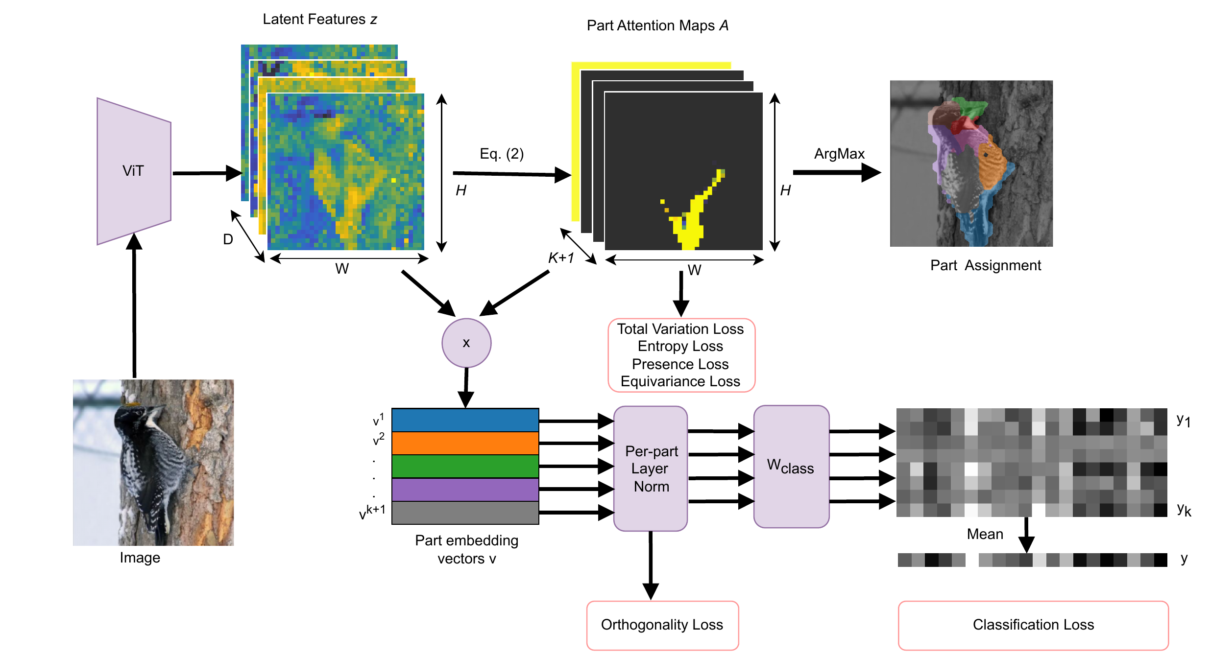 PDiscoFormer model architecture diagram