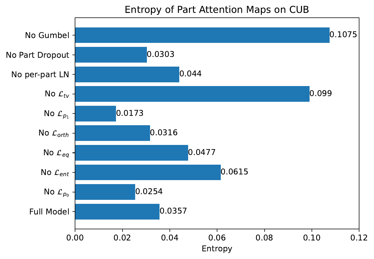 Entropy on CUB