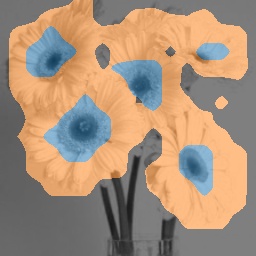 Ours
